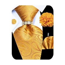 5PCS Mens Silk Designer Tie, Pocket Square, Gold Paisley Tie Set -110 7