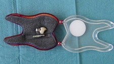 Implantat Metallabutement Keramikkrone Schauobjekte Patientendemonstration