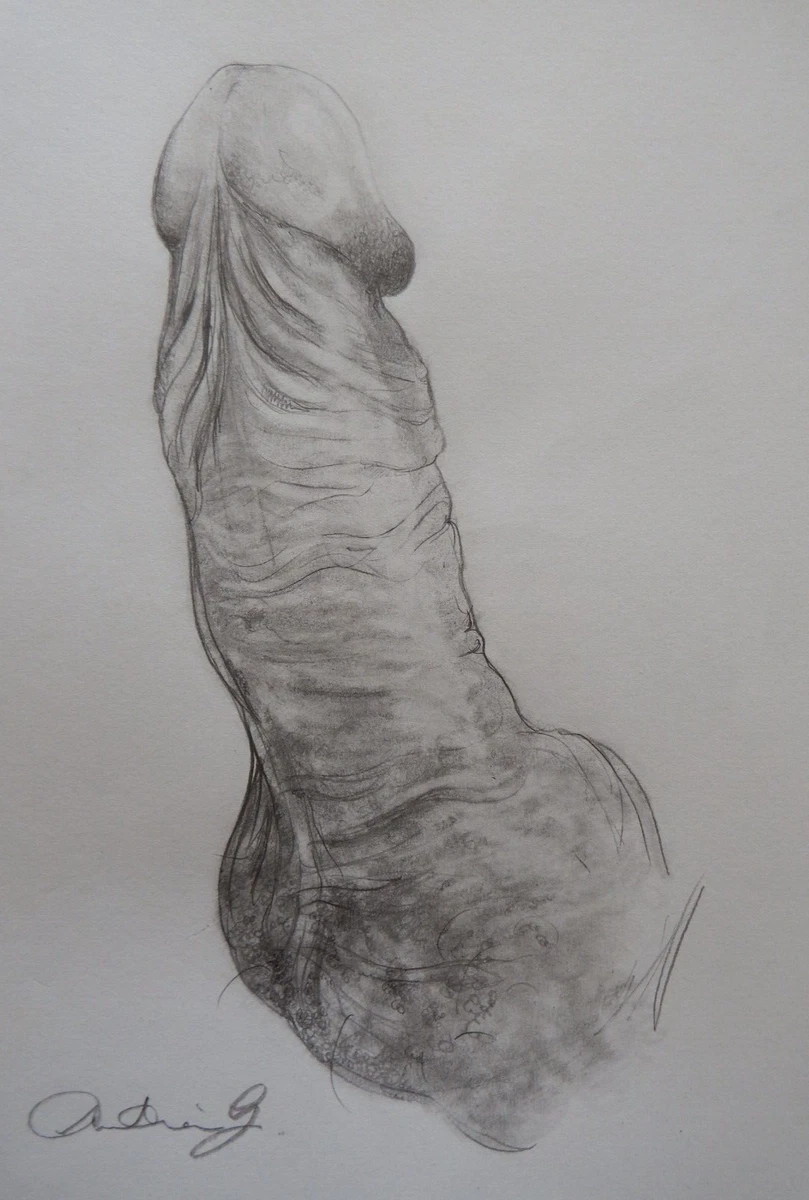 No Drawing Penis
