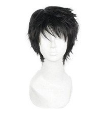 Short Black Men Fluffy Straight Cosplay Heat Resistant Halloween Wig