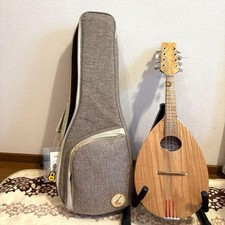 Basiko flat mandolin case