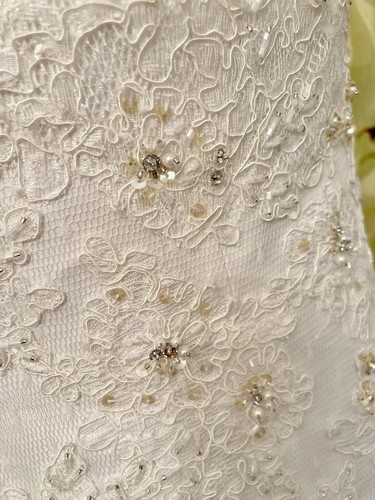 14 🔵 Beth by Maggie Sottero | Size 12 | Ivory Wedding Dress - Picture 7 of 9