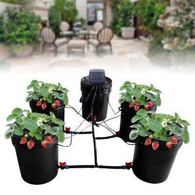 New 5-Gallon Hydroponics Grow System Recirculating Deep Water Culture Kit 5 Pots