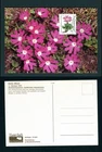 1983 Germany Berlin 80pf Primrose FDC Endangered Alpine Flowers Maximum Postcard