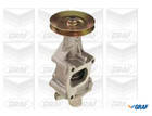 GRAF PA354 Wasserpumpe, Motorkühlung für FIAT Panda 750 Neu
