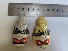 eBay Auction Picture