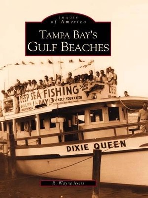 Tampa Bays Gulf Beaches (Imag - VERY GOOD