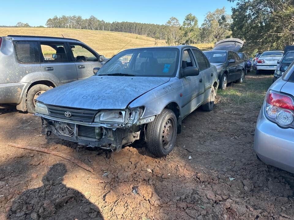 Picture 1 of 12