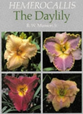 Hemerocallis, the Daylily