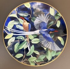 Limited Edition Wedgwood “ The Buff-Breasted Kingfisher “ Bird Collectors Plate
