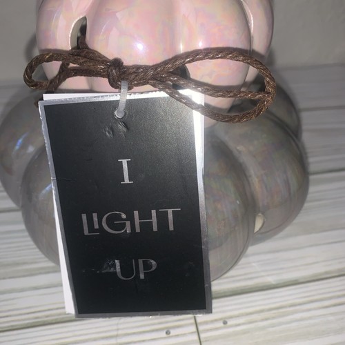Zucche impilate illuminano iridescenti 8” x 6” bianco rosa grigio nuove - Foto 4 di 5