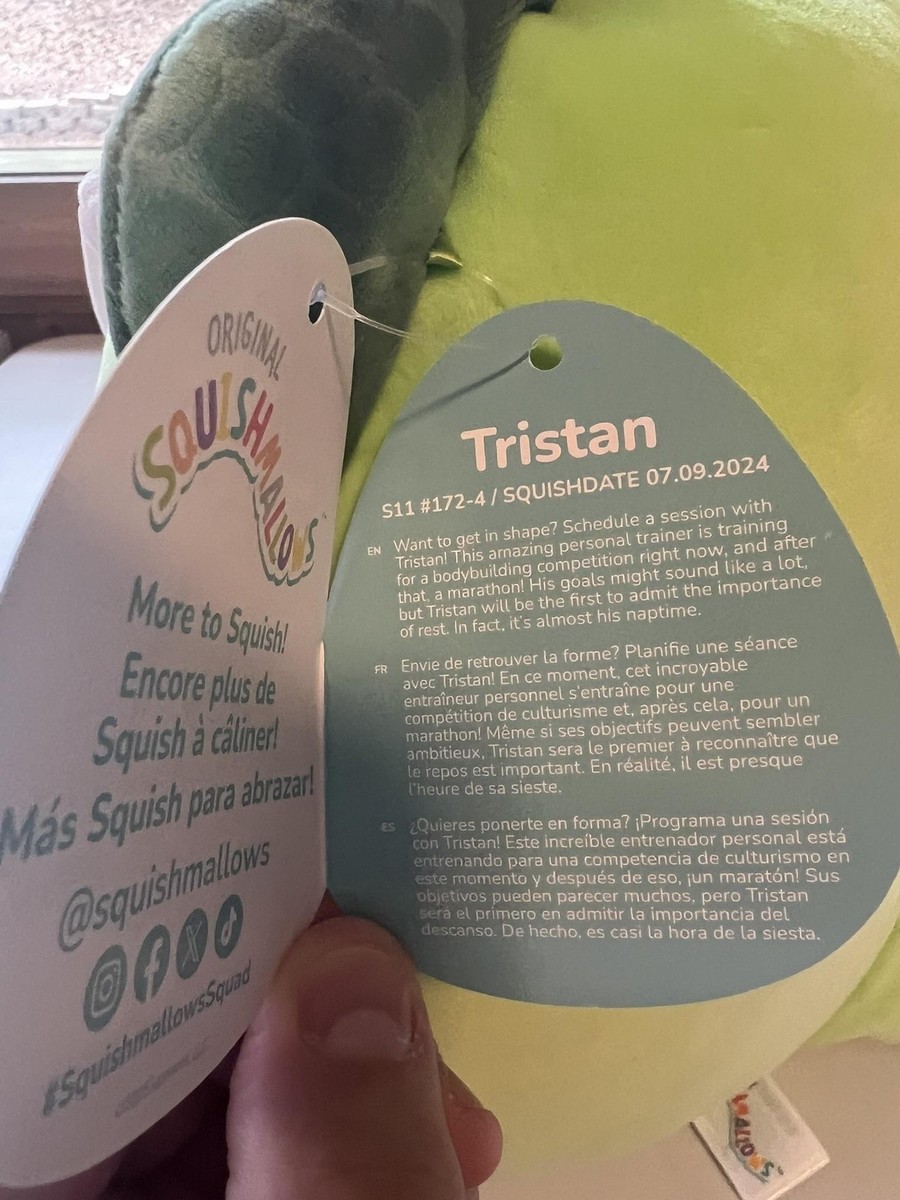 Hora Es What Time Is Cet Right Now Squishmallows Tristan