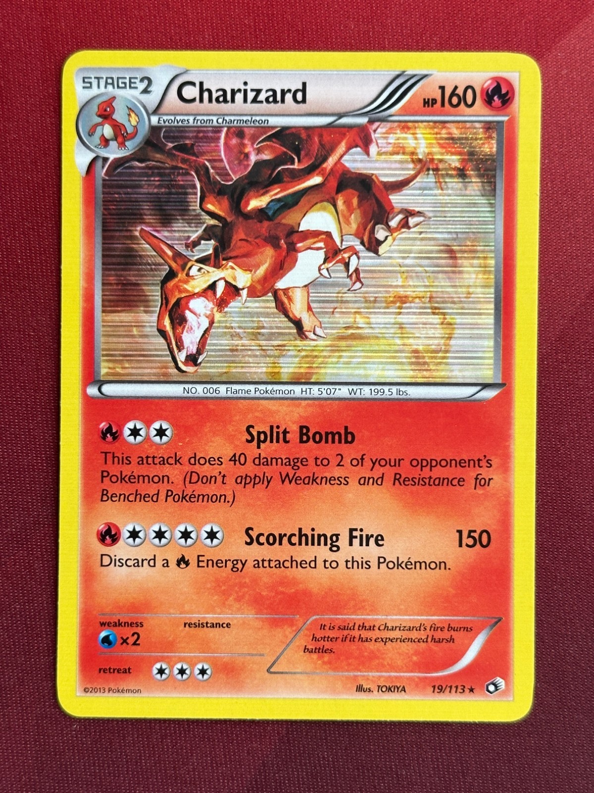 CHARIZARD 19/113 Legendary Treasures HOLO rare Pokemon TCG card NM