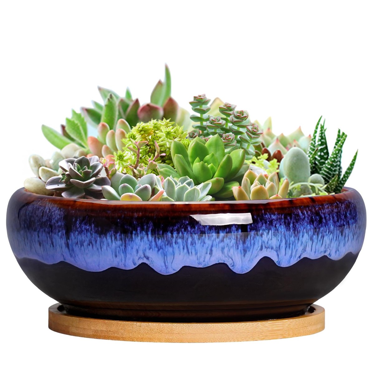 SQOWL 7 Inch Round Ceramic Succulent Planter Pot Drip 8 Inch