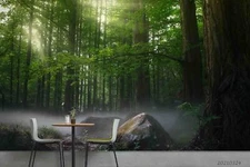 3D Forest Tree Sunlight Stone Fog Self-adhesive Removeable Wallpaper Wall Mural1