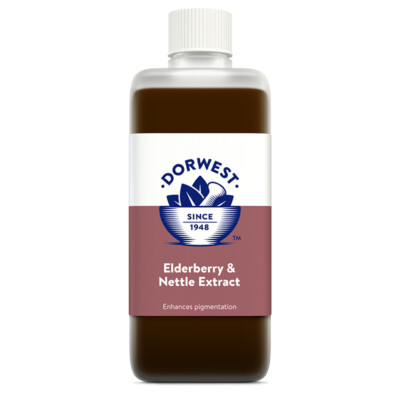Elderberry Extract Powder at ₹ 1000/kg | Natural Herbal Extracts in