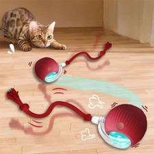 Intelligent interactive cat ball long-lasting and durable easy to clean intellig