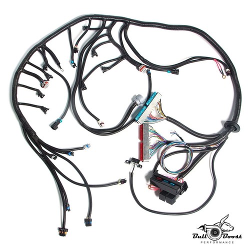 4L80E Standalone Wiring Harness (DBW) For 20032007 LS LS1 LS6 SWAP VORTEC NEW eBay