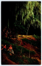 Postcard Fern Grotto Kauai Scenic Boat Trip Up Wailua River Hawaii Unposted