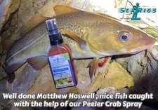 SEARIGS™ Peeler Crab Saltwater Saline Hook Bait Booster Spray, Target Cod & Bass