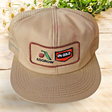 Vintage ASGROW - D's GOLD Old Style SnapBack Trucker Hat Patch Mesh Made in USA