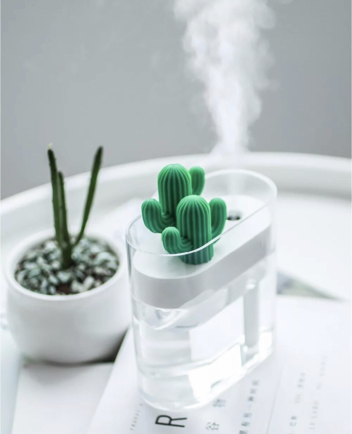 Cactus Portable Air Humidifier