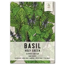 Holy Basil Herb Seeds For Planting Ocimum sanctum 