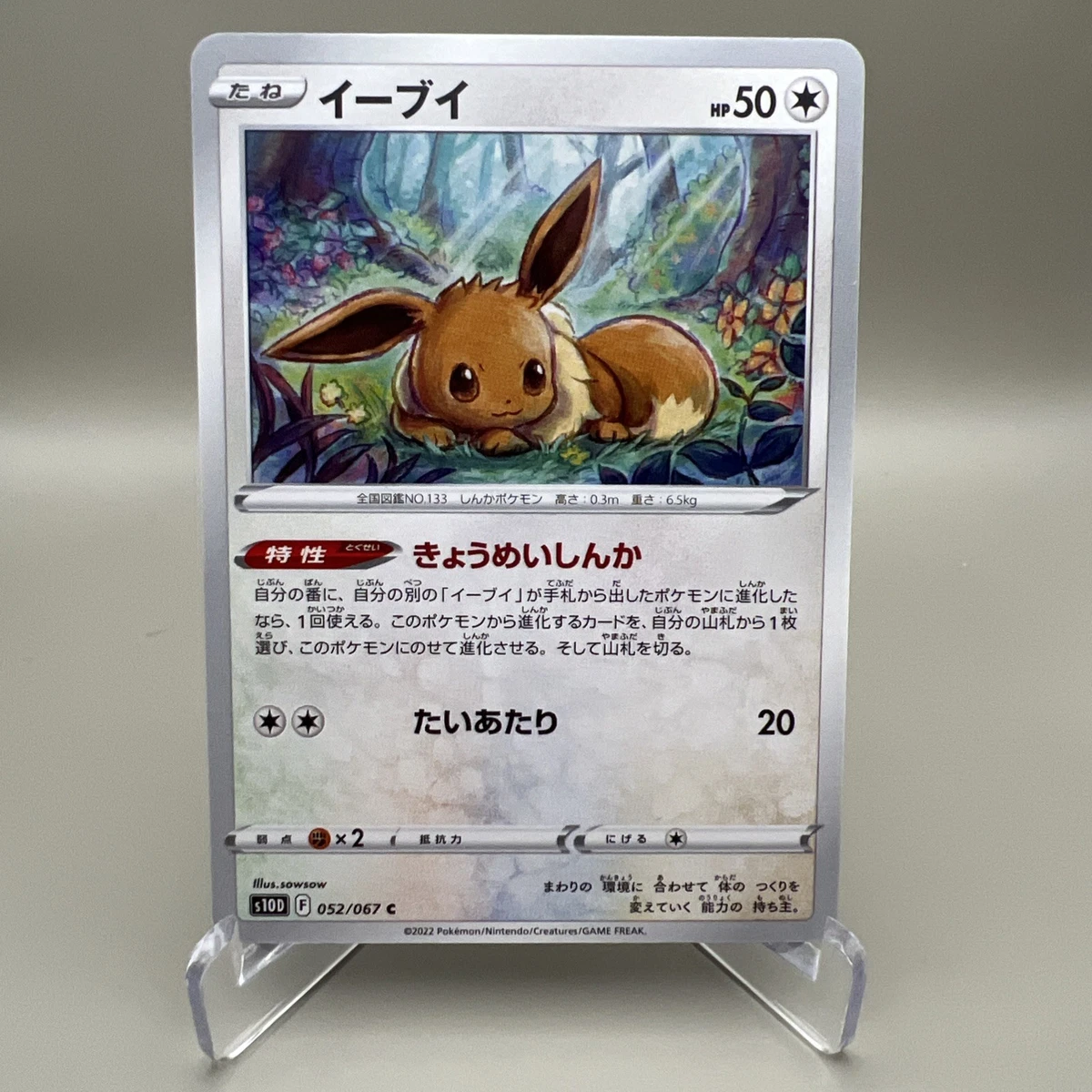 PSA10】イーブイ C s10D 052/067 タイムゲイザーeevee Eevee 052/067