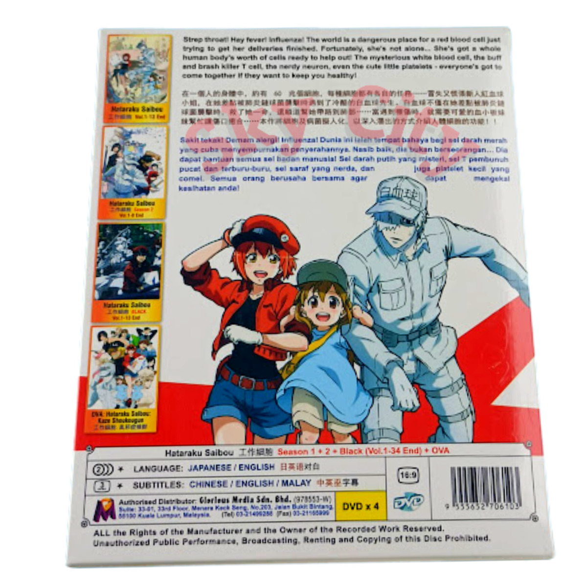 Hataraku Saibou Season 1 2 Black OVA Japanese Anime DVD for sale