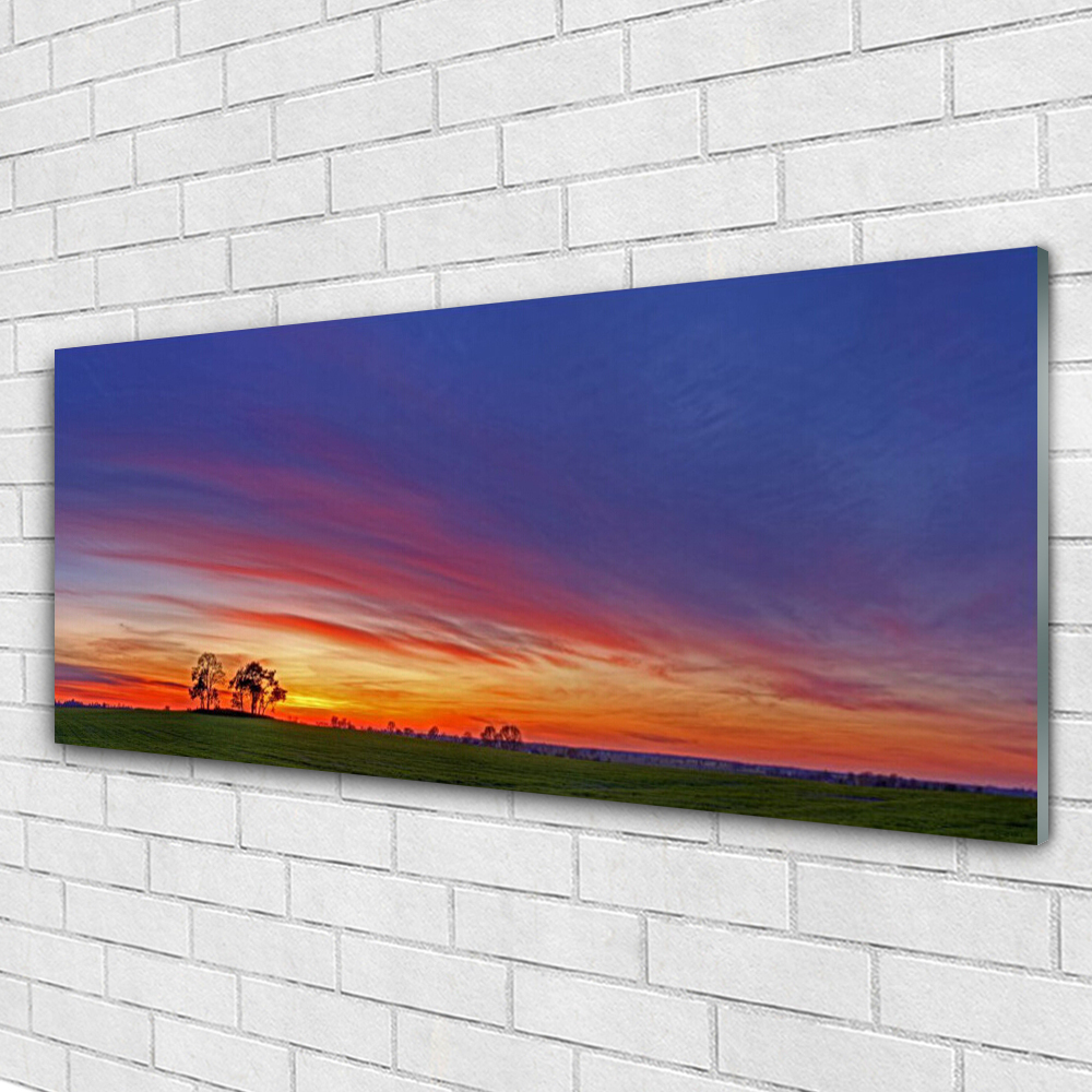 Image tableaux sur verre haut de gamme panorama champ d'arbres 125x50