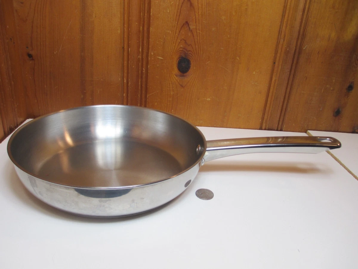 Stainless on sale steel skillet