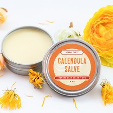Calendula Skin Healing Salve Eczema Itch Rash Relief Cream w Organic Shea Butter