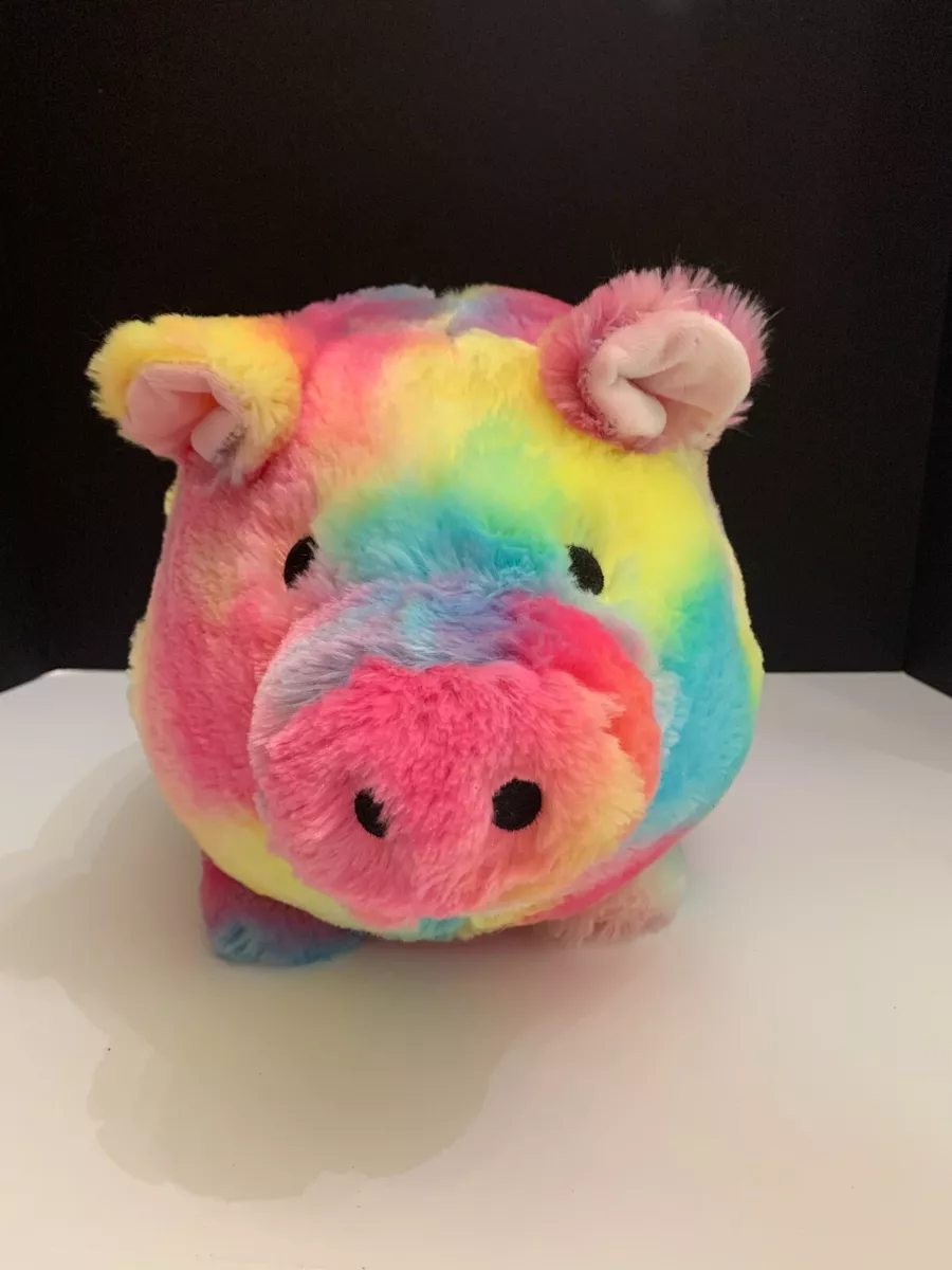 Rainbow piggy 2024