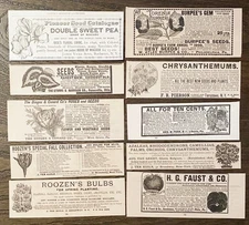 Sweet Pea,Rose,Tulip,Mum Flower&Plant Seed Garden Companies c1890 Print Ad Lot10