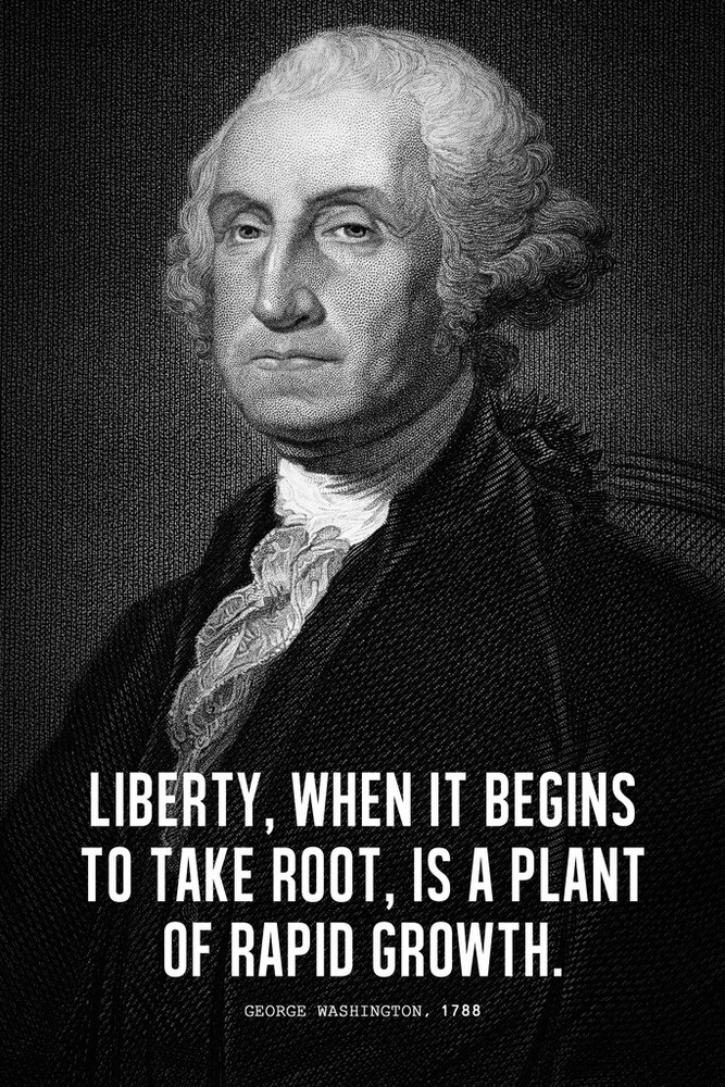 President George Washington Liberty Quote Portrait Poster 12x18 Poster 12x18