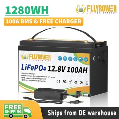 FLLYROWER Batteria al litio 12V 100Ah LiFePO4 batteria solare camper BMS 10 anni di durata