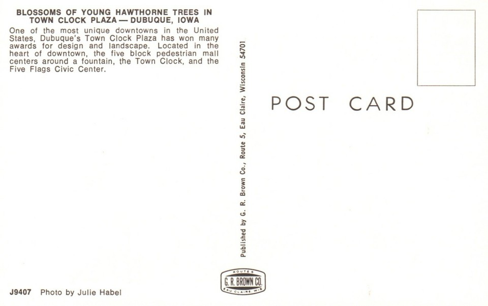 Dubuque, Iowa, IA, Town Clock Plaza, Hawthorne Trees, Vintage Postcard