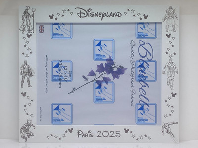 Disneyland Paris personalisierter und gravierter Fotorahmen passend für Foto 10x12''