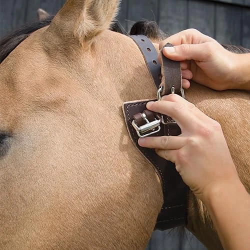 Dispositivo anticunas con cuello milagroso para caballos ajuste mediano de cuero habanero Foto 2 de 4