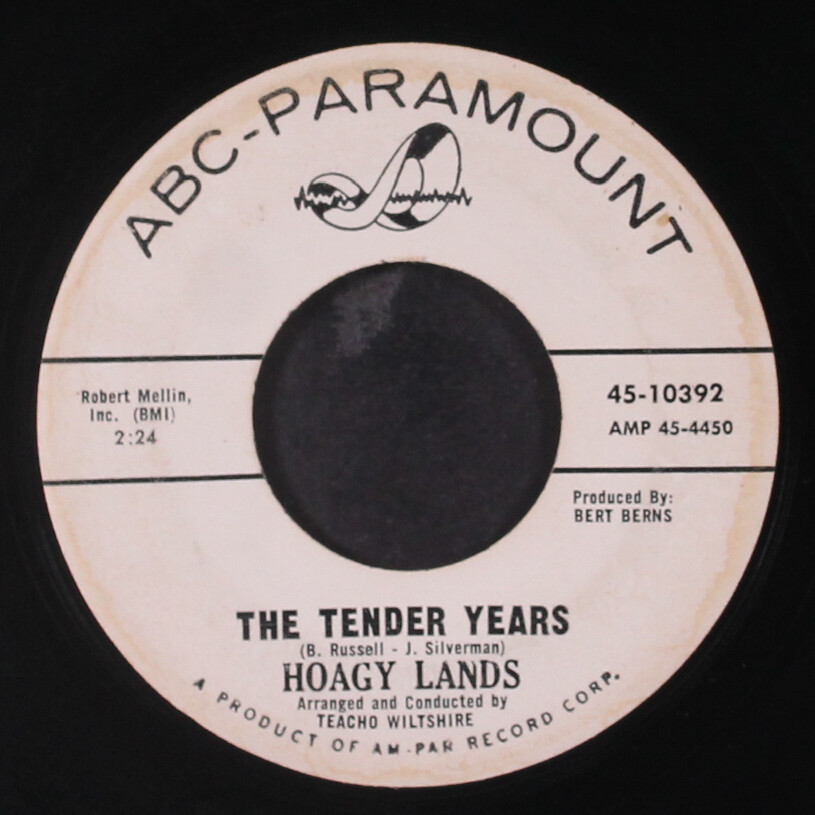 英7” Hoagy Lands Im Yours / Only You SS2085 STATESIDE /00080 Hoagy Lands – I'm Yours / Only You | Releases | Discogs