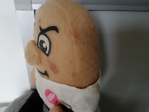 Vintage Weetabix Crunch doll Sleepee Heads soft toy advertising promotional rare - Picture 14 of 14