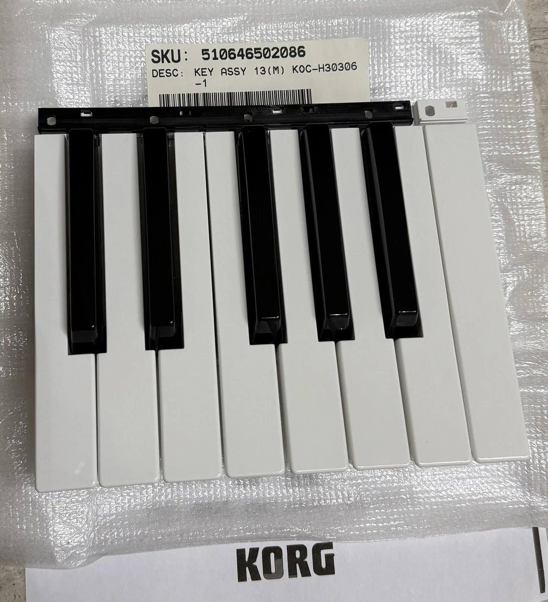 1PZ PSR-S900 S700 KORG-PA50 organo elettronico display
