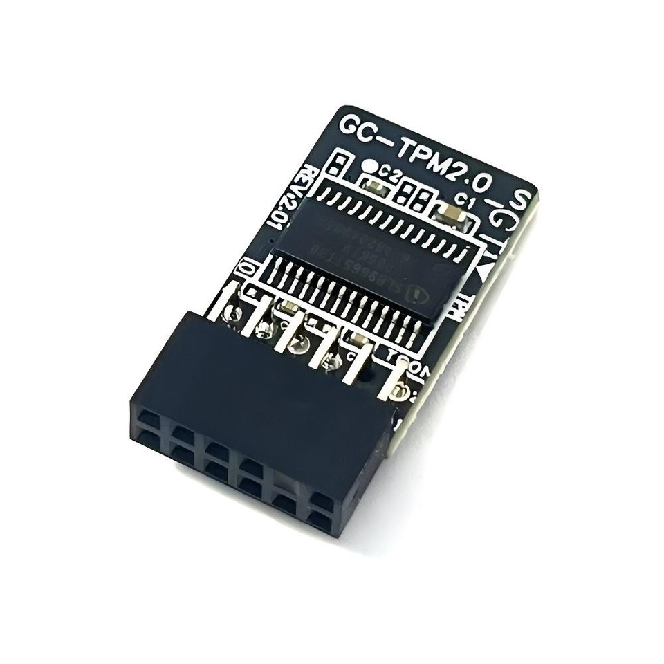 JINTAI TPM 2.0module TPM LPC 12pins module vervanging voor Gigabyte