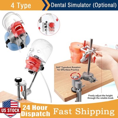 Dental Simulator Mannequin Head Teeth Model Typodont Model &Teeth Mount Pole New