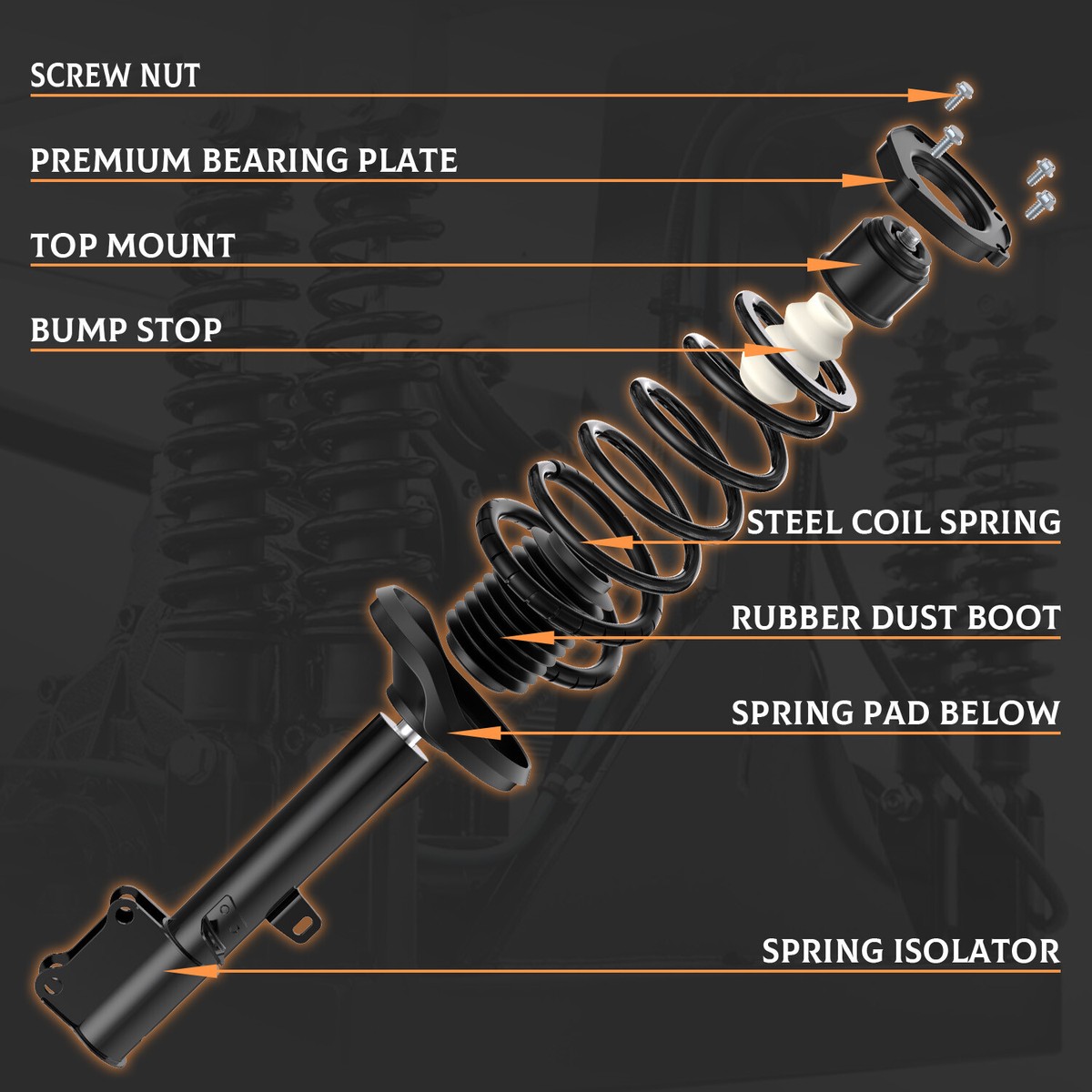 2008 Ford Focus Struts