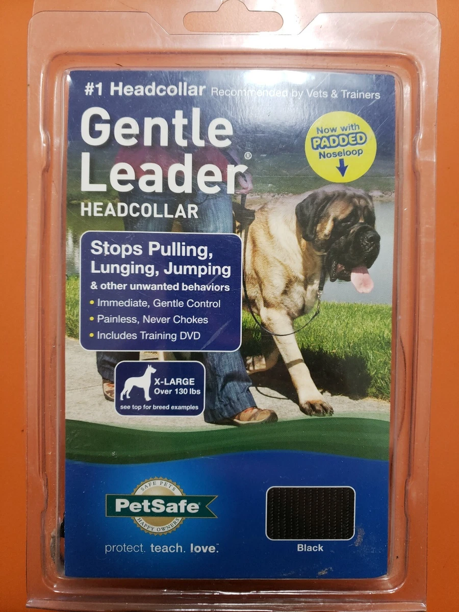 Xl gentle cheap leader