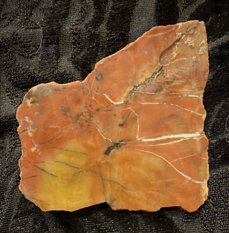 Orange & Yellow Petrified wood Chunk w/ White Veins, Unpolished