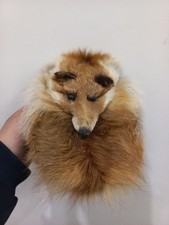 Genuine Scottish Highland Kilt Sporran with Fox Face Fur Belt Chains