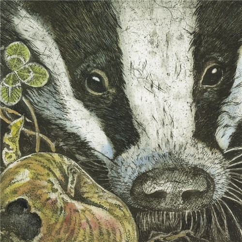 Badger with Apple - Fine Art Blank Greeting / Birthday Card - British Wildlife