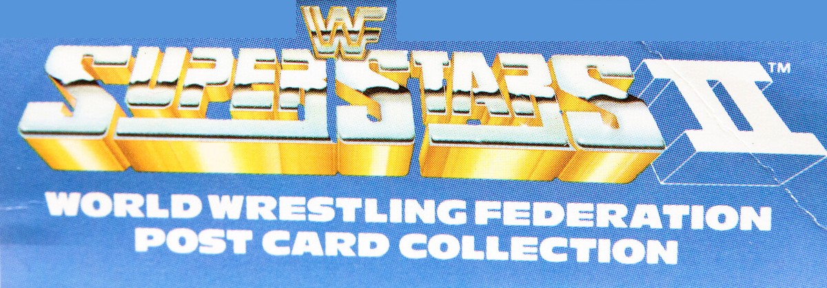 Vintage 1988 WWF Superstars II HACKSAW JIM DUGGAN Postcard | RARE